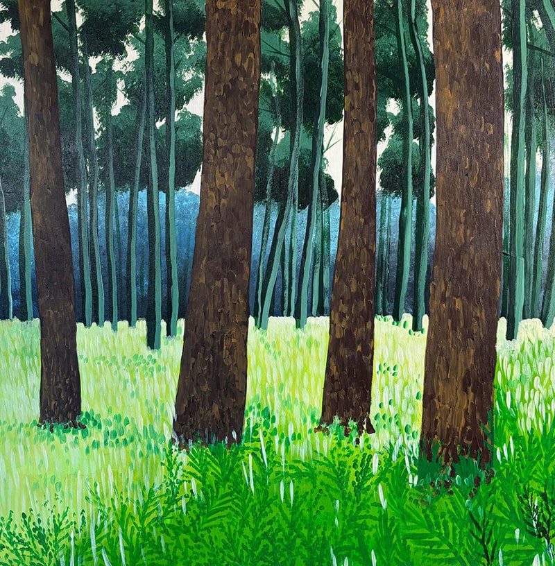 Scène paisible en forêt, herbe coupée au sol et lumière douce du matin filtrant entre les arbres.